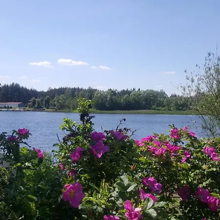 Lesna Radosc Jastrząb