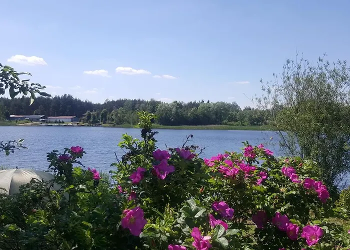 Lesna Radosc Jastrząb