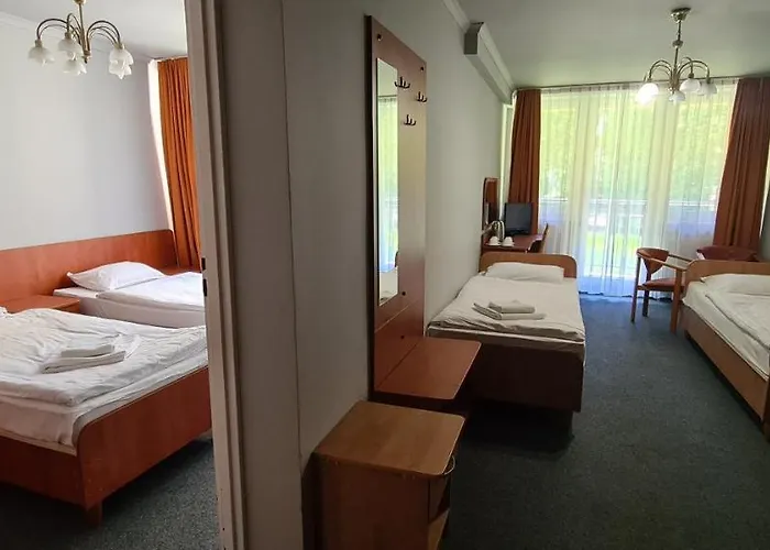 Hotel Leśna Radość *