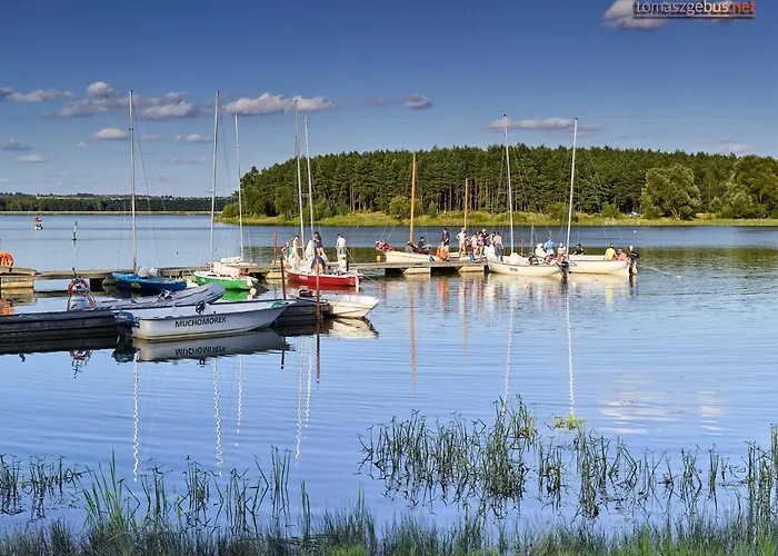 Leśna Radość Jastrząb